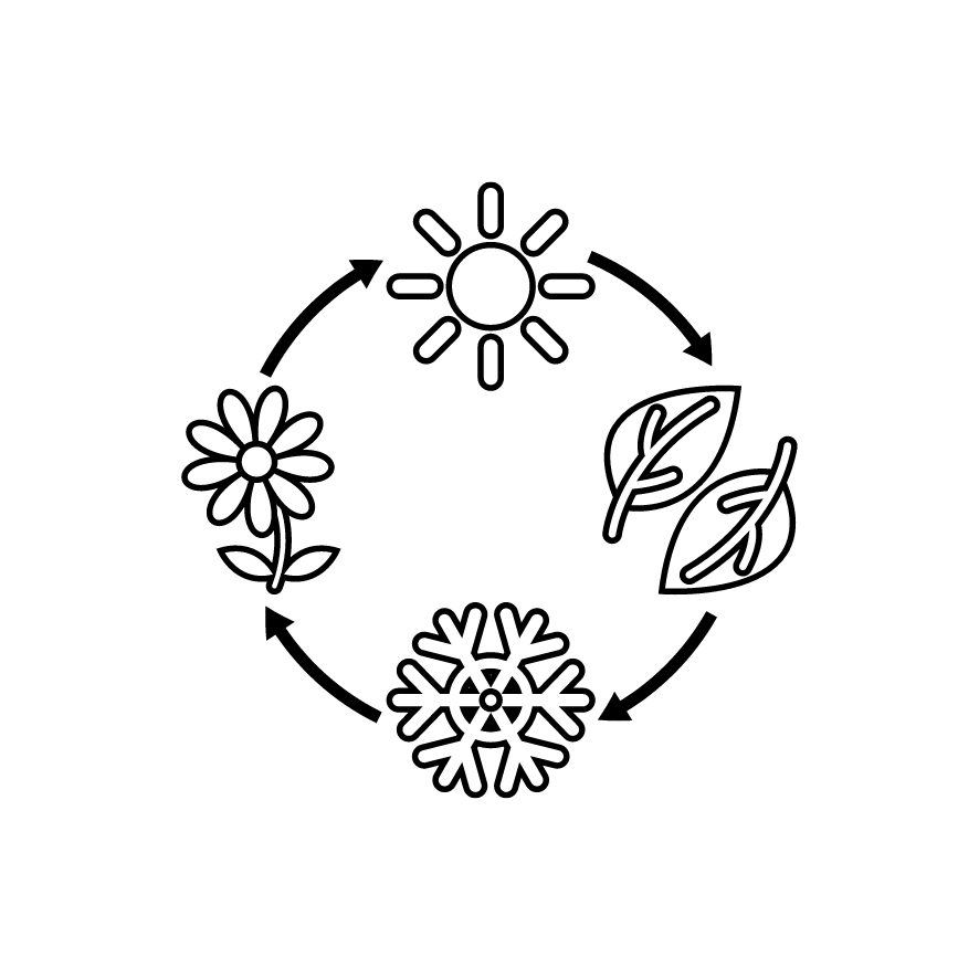 aginum logo