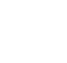 aginum logo