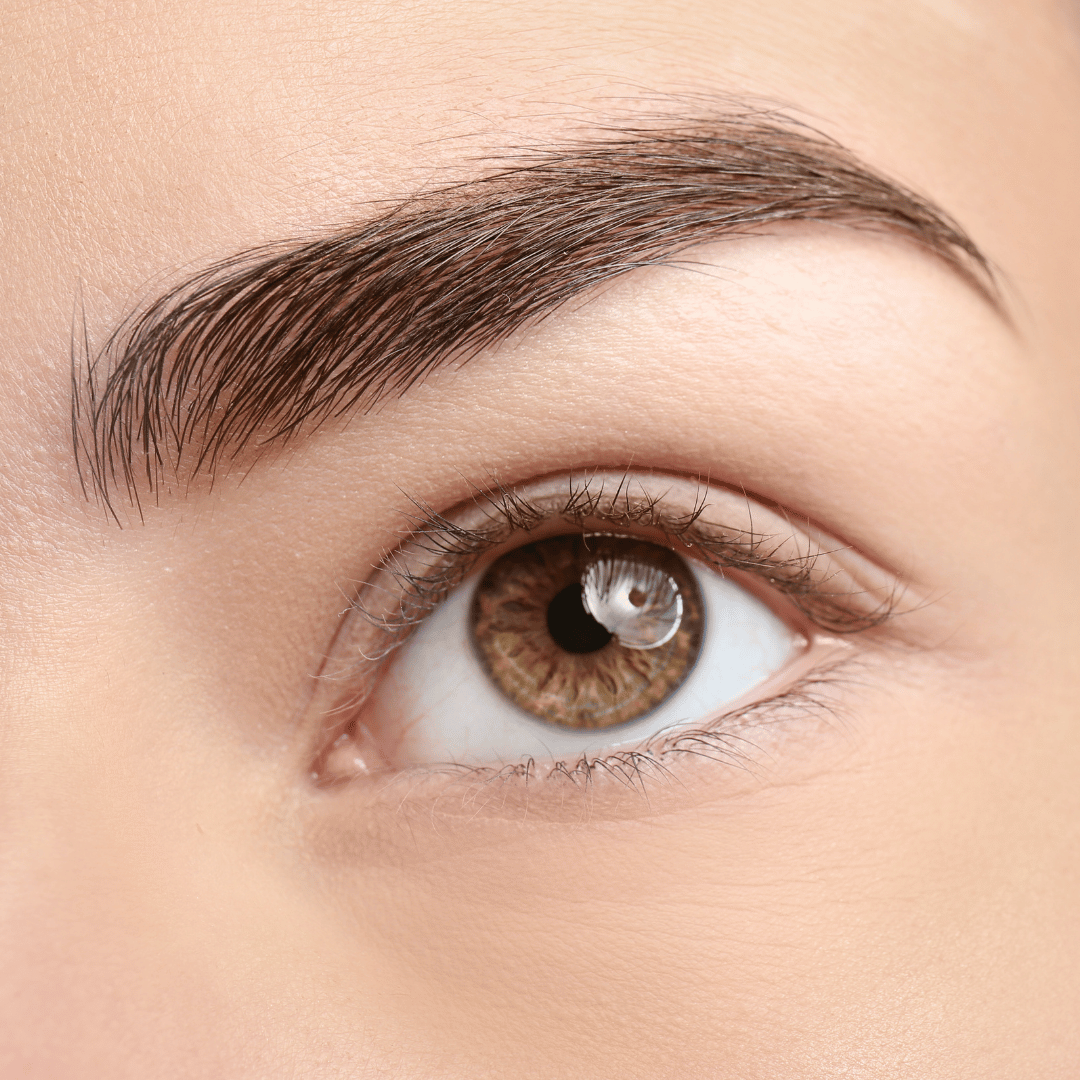 Sourcils image