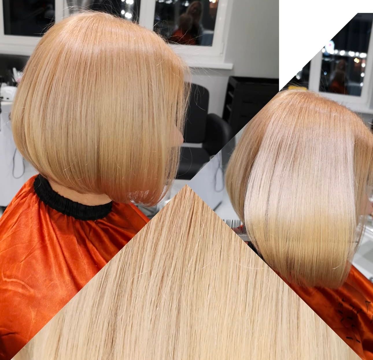 PATINE: courts/racines image