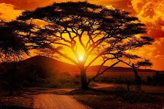 MASSAGE AFRICAIN image