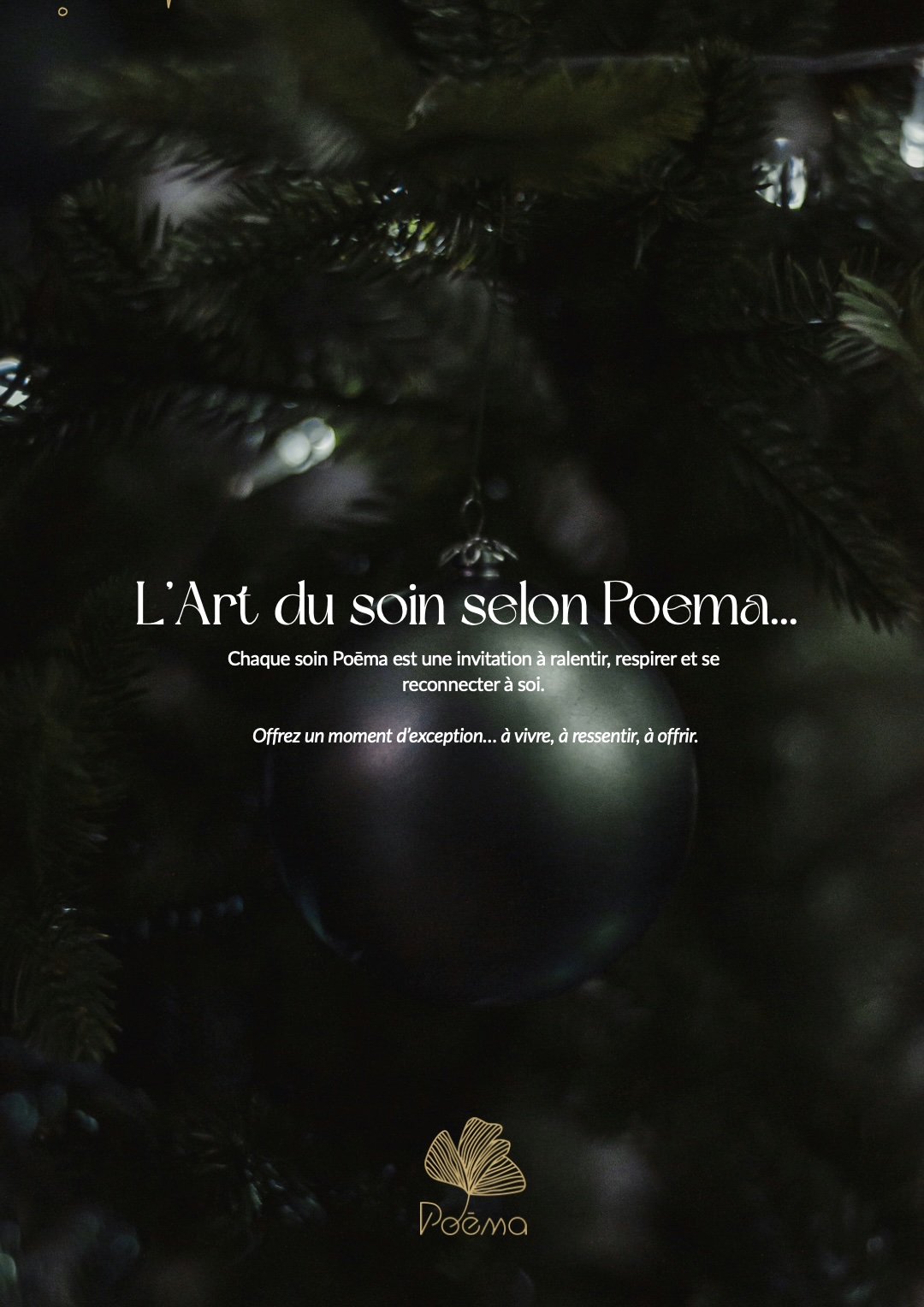 La carte de 10 soins de 1h image