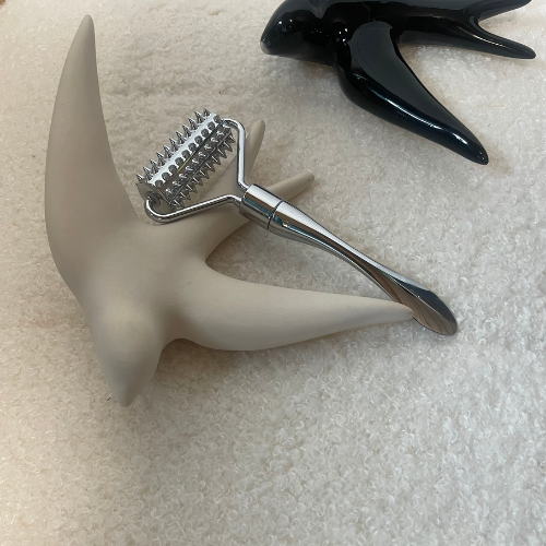 Ridoki Silver - Soin Énergétique & Sculptant du Corps image