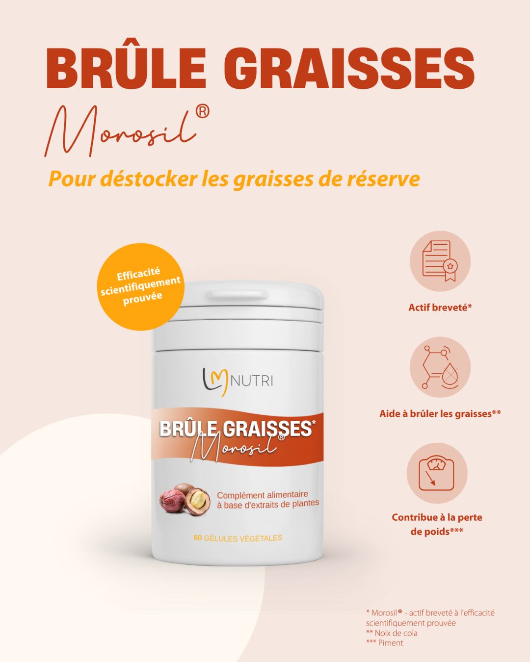 BRULE GRAISSES MOROSIL - 60 gélules végétales image