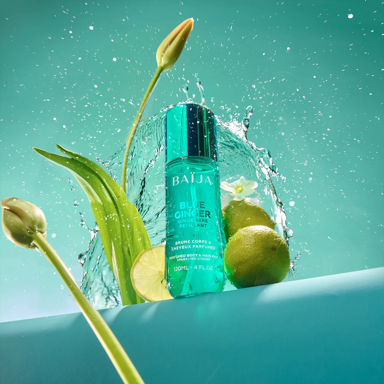 NEW Brume Blue ginger image