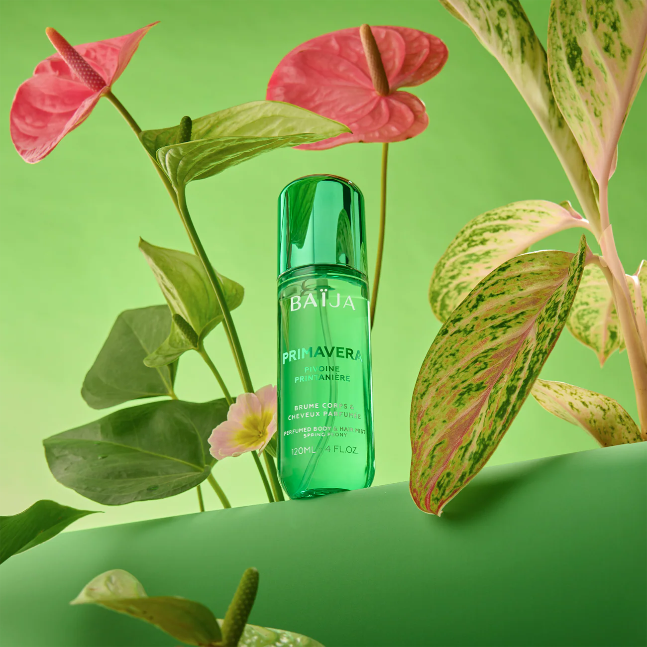 NEW Brume Primavera image