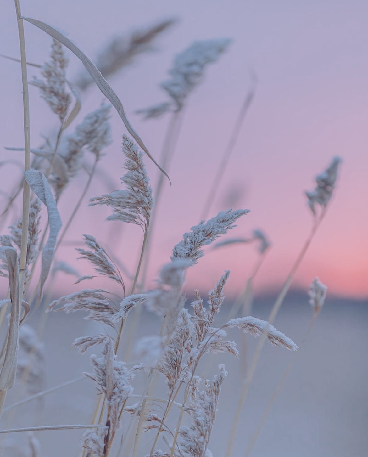 La carte de 10 soins 1h15 image