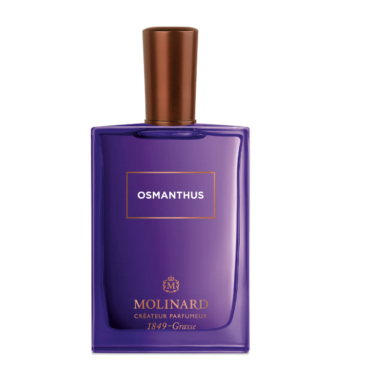 Osmanthus image