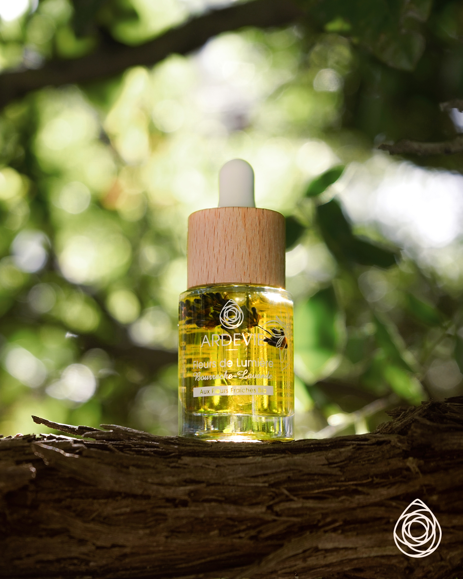 macérat fleur de lumière image