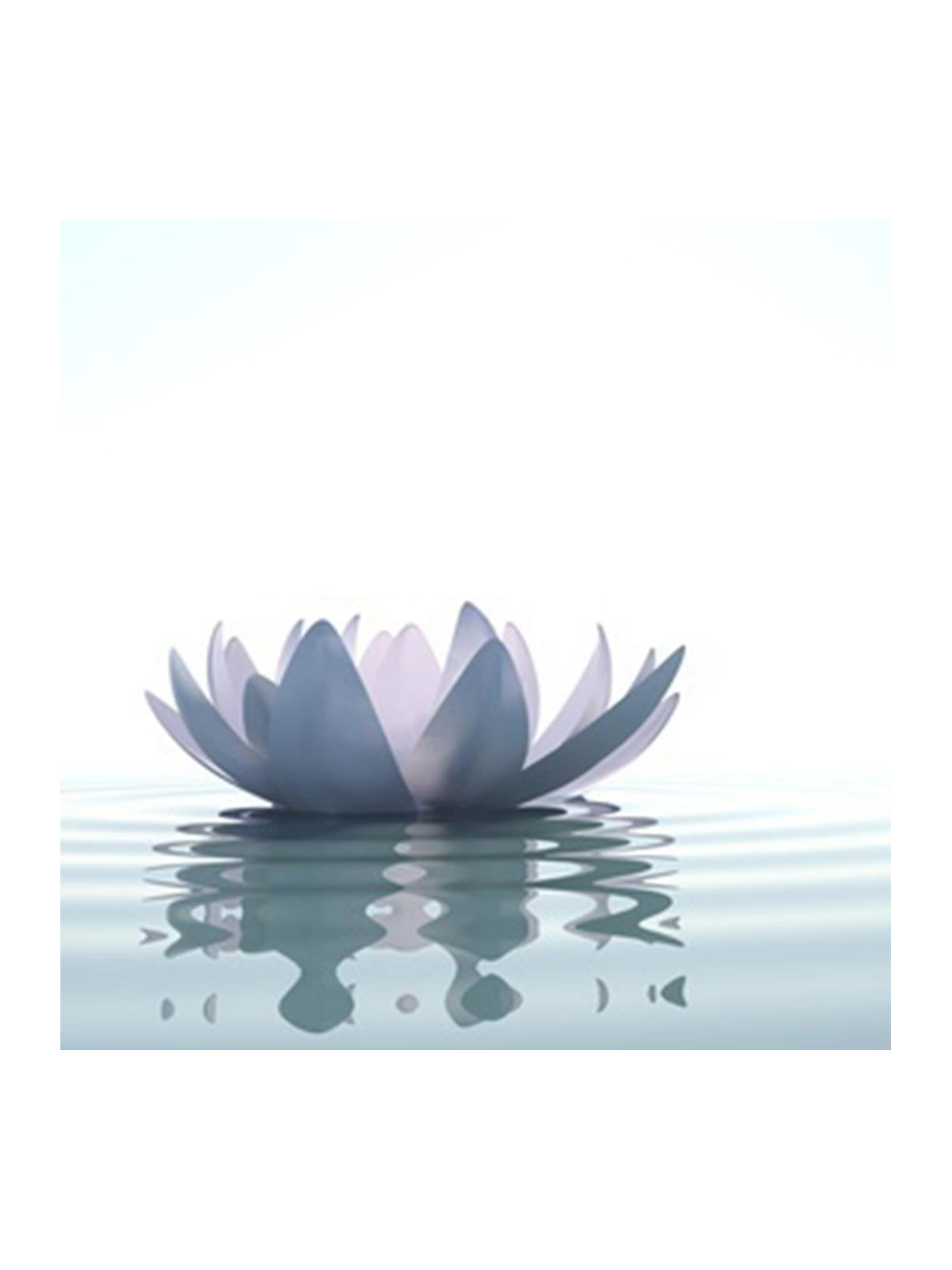 Diffuseur Lotus image