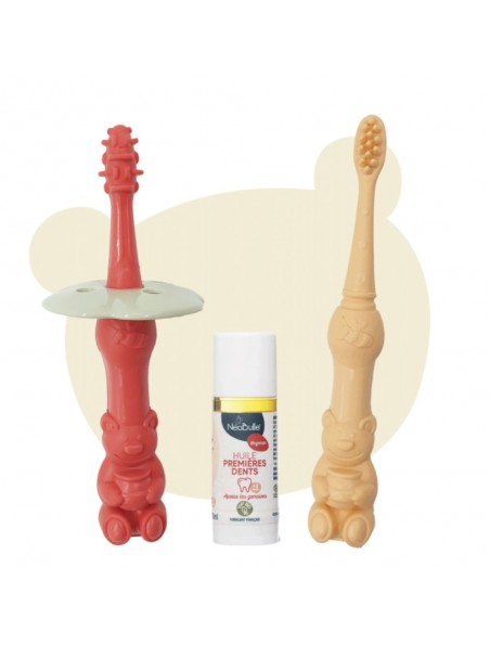 Kit éducatif poussée dentaire image