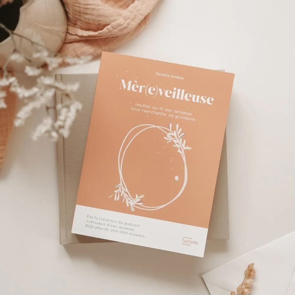 Livre guide de grossesse Mèr(e)veilleuse image