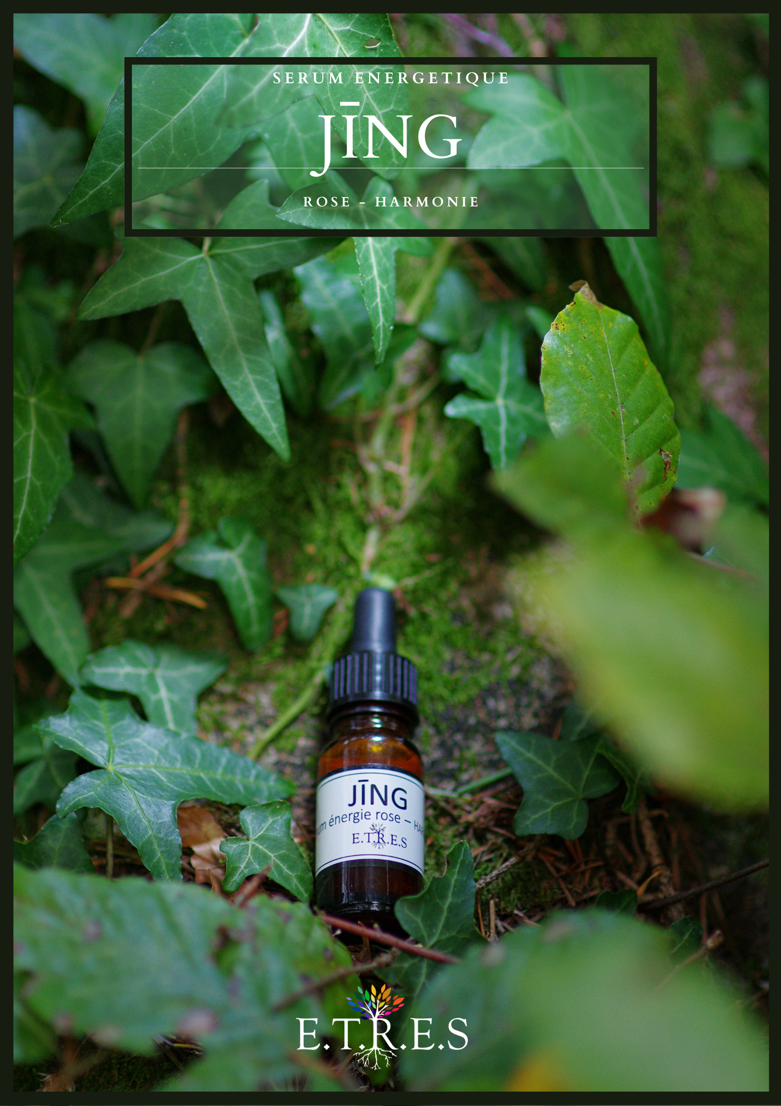 Sérum énergétique Rose Harmonie Jing 10ml image