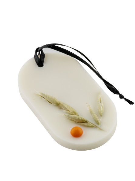 Suspension Cuir & Fir image